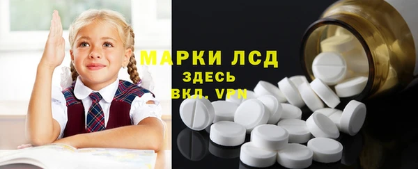 ПСИЛОЦИБИНОВЫЕ ГРИБЫ Абаза