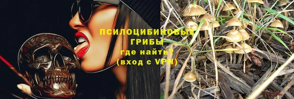 прущая мука Алзамай
