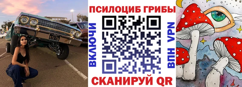 Псилоцибиновые грибы GOLDEN TEACHER  Дрезна 